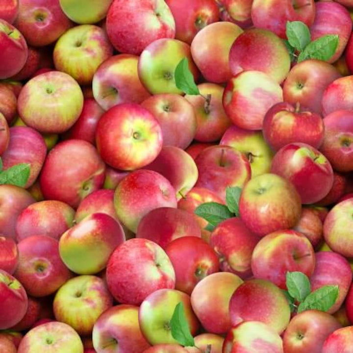 Apples Fabric, Sold by the Half Yard, 641E-MULTI Elizabeth Studios, Food Fabrics
