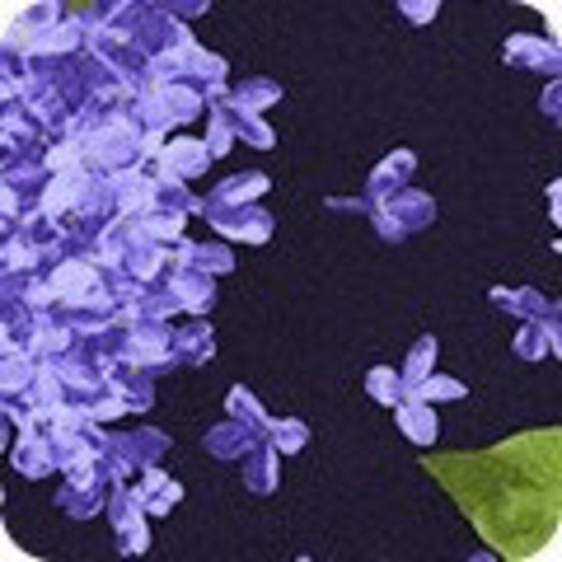 Quilt Kit, Elizabeth 50 1/2"x74 1/2", Robert Kaufman Elizabeth Fabrics, Purple Lilacs Fabric