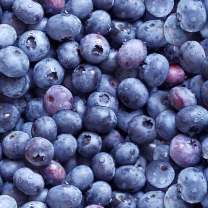 Blueberries Fabric, Sold by the Half Yard, Elizabeth Studios, Food Fabrics