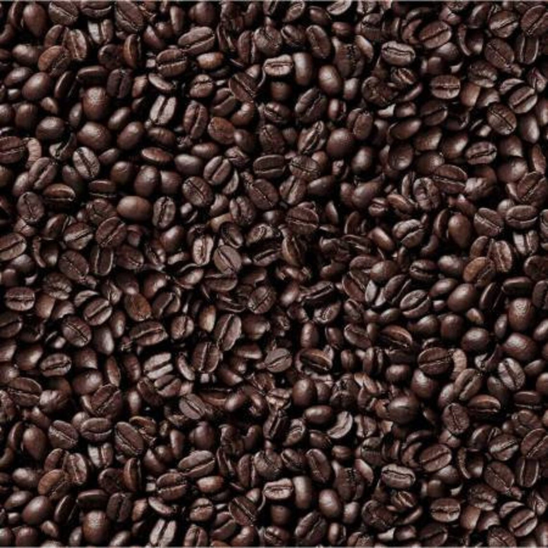 Coffee Beans Fabric, Sold by the Half Yard, Elizabeth Studios, Food Fabrics