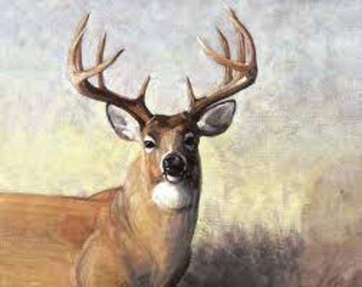 Deer Fabric Panel 43"x36", P5570 Majestic Outdoors fabric, Riley Blake Fabrics