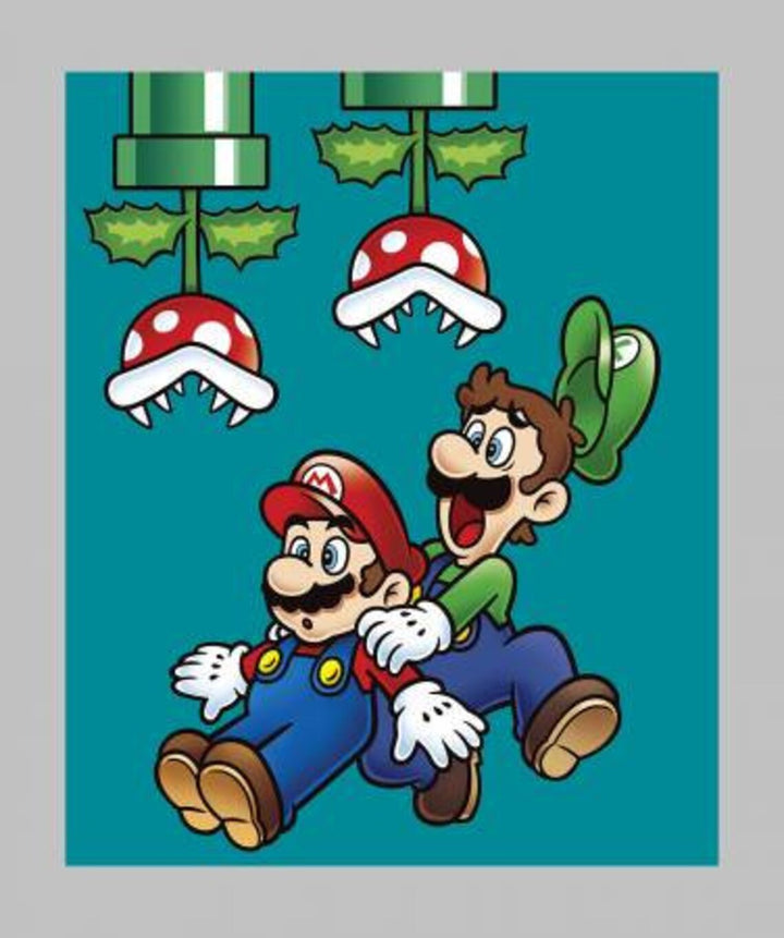 Super Mario Fabric Panel 36"x44", Nintendo #74363A620715, Luigi Mario Quilt Wall Hanging