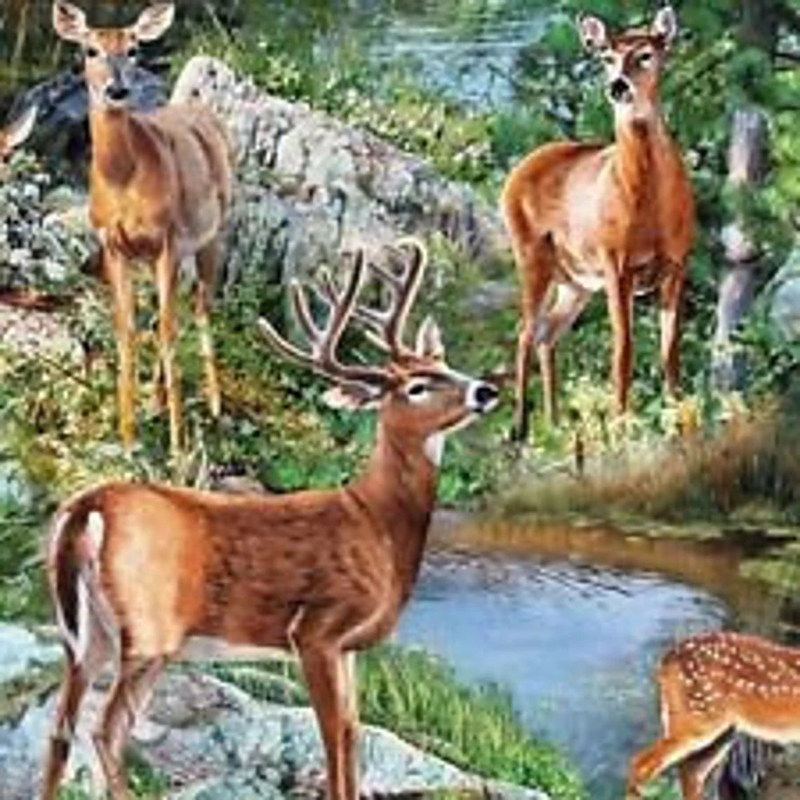 Deer Fabric 1/2 yard, Cradle Rock by Springs, Deer Allover fabric, Deer Gift Bed Quilt Wall Hanging Placemats