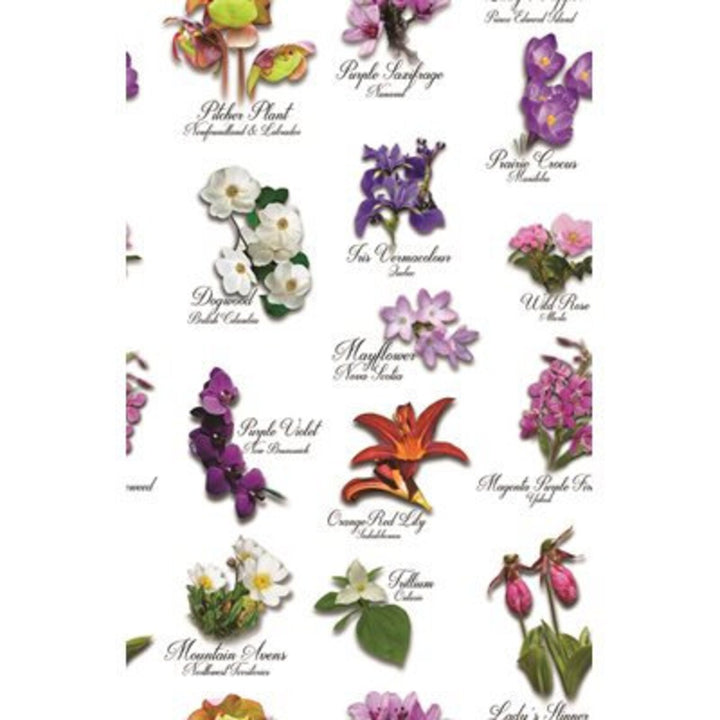 Provincial Flowers 1/2 Yard, 20003-3 Canadian Road Trip by Hoffman, Canada Provincial Flowers Gift Bed Quilt Wall Hanging Table Runner