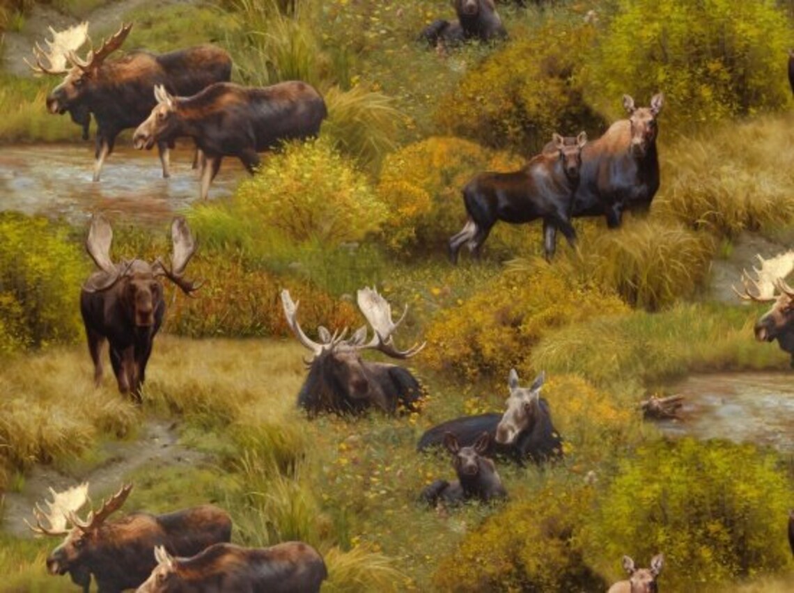 Moose Fabric 1/2 Yard, 8801Green North American Wildlife by Elizabeth's Studio, Wildlife Lovers Gift Bed Quilt Wall Hanging