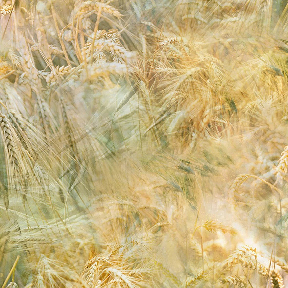 Quilt Kit 54"x72" Farmyard Quilt, Fabric by Hoffman, Red Barn Garden Flowers Farm Gift Bed Quilt Kit