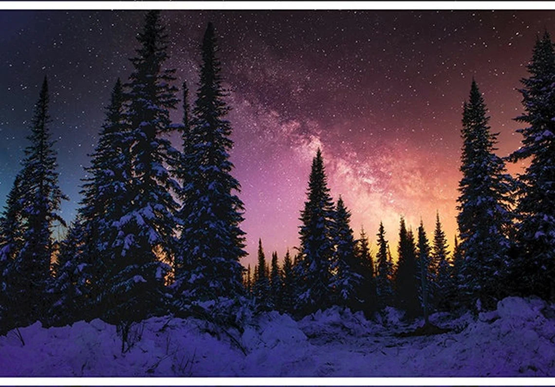 Quilt Kit 54"x68", Northern Lights Nightshade, Hoffman fabrics Bed Quiltt Forest Trees Northern Lights Twilight