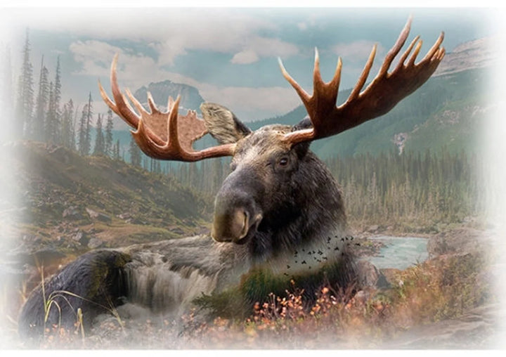 Quilt Kit 60”x73", Moose Call of the Wild fabrics by Hoffman, Moose Forest Hunter Wildlife Gift Bed Quilt Forest Mountains
