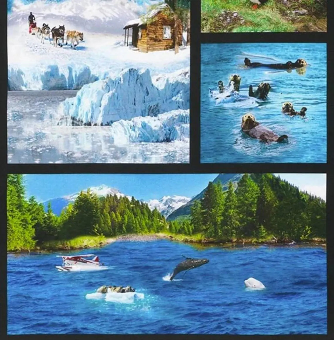 Animal Panel Nature Fabric Panel 43"x23", # SRKD20814268 Robert Kaufman, Alaskan Wildlife Orcas Dog Sled Puffins Float Plane Seal Whale
