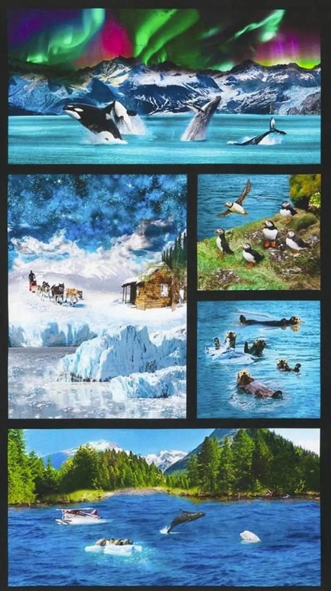 Animal Panel Nature Fabric Panel 43"x23", # SRKD20814268 Robert Kaufman, Alaskan Wildlife Orcas Dog Sled Puffins Float Plane Seal Whale