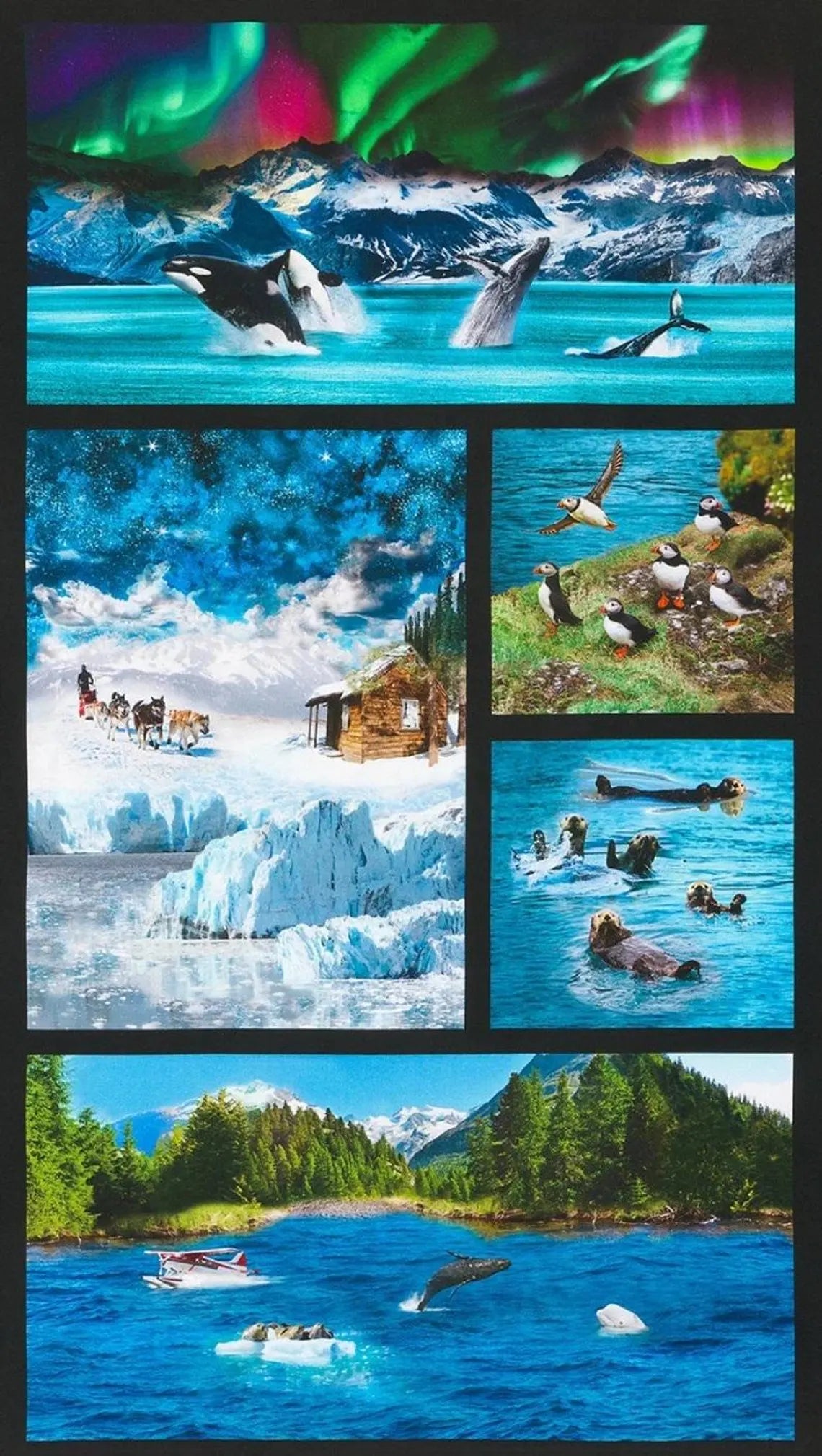 Animal Panel Nature Fabric Panel 43"x23", # SRKD20814268 Robert Kaufman, Alaskan Wildlife Orcas Dog Sled Puffins Float Plane Seal Whale