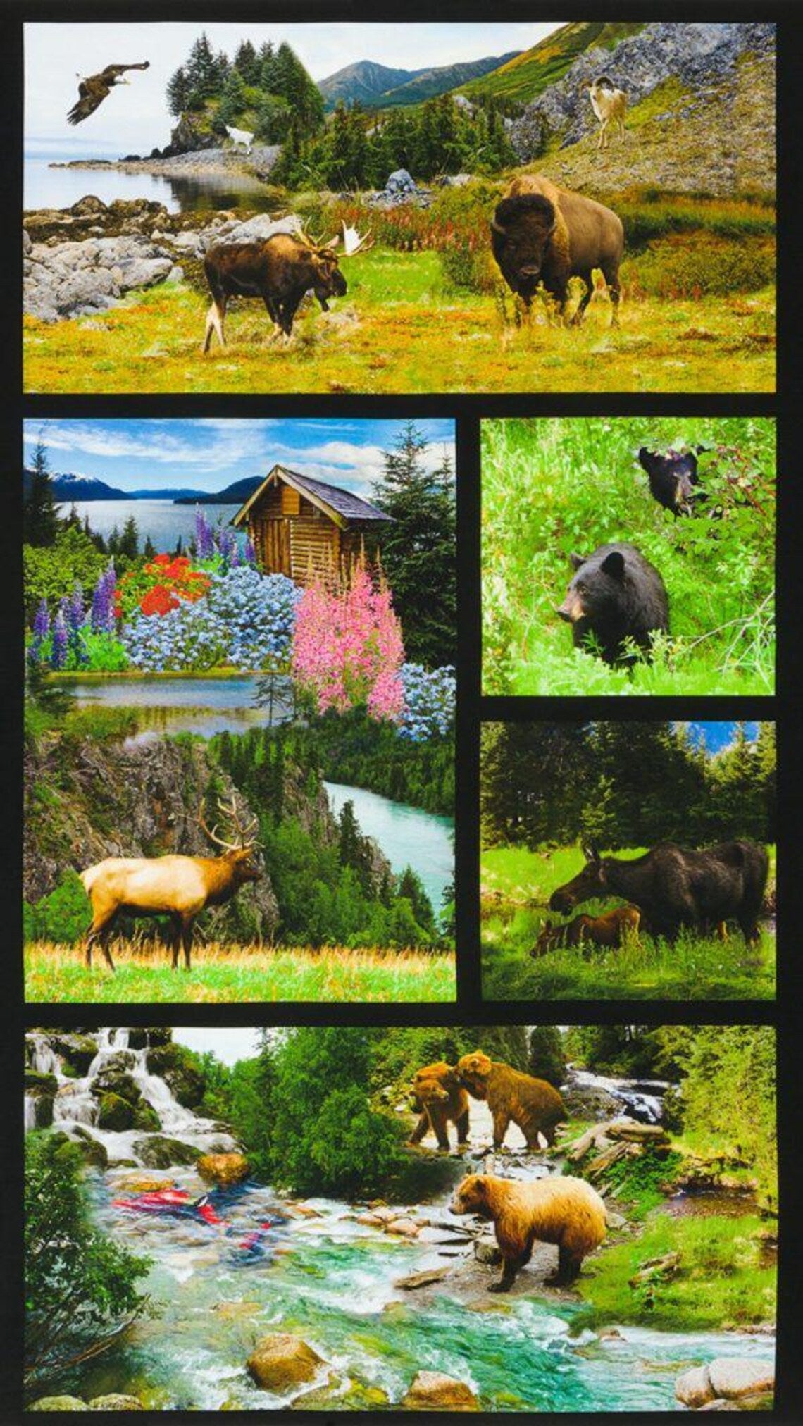 Animal Panel Nature Fabric Panel 43"x23", # SRKD20813268 Robert Kaufman, Bald Eagle Moose Bison Black Bear Log Cabin Elk Grizzly Moose