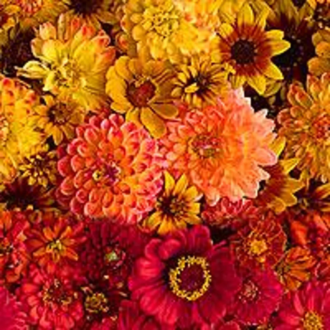 Quilt Kit 58x"x58", Shadow & Elegance by RJR, Floral Gift Bed Quilt Queen Quilt Wall Hanging