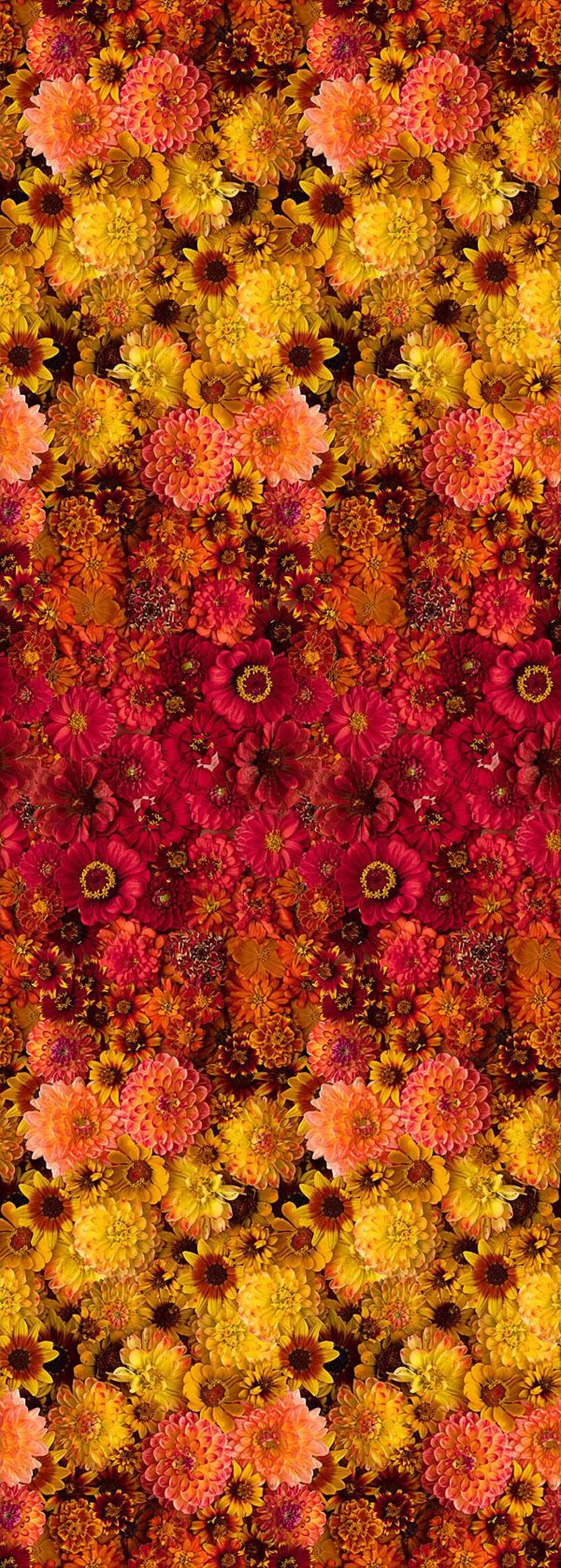 Quilt Kit 58x"x58", Shadow & Elegance by RJR, Floral Gift Bed Quilt Queen Quilt Wall Hanging