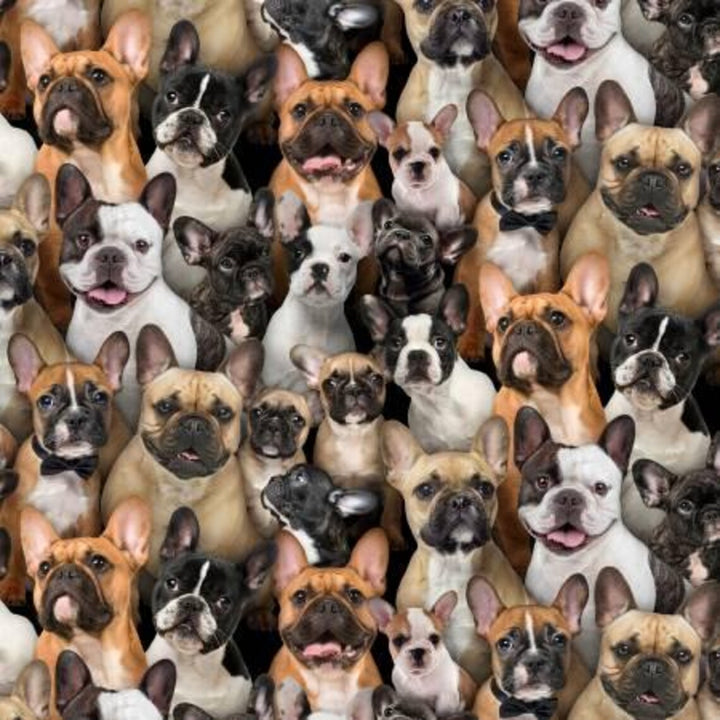 French Bulldog Fabric Sold by the Half Yard, Dogs by Elizabeth's Studio, # 687-MULTI French Bulldog fabric gift quilt