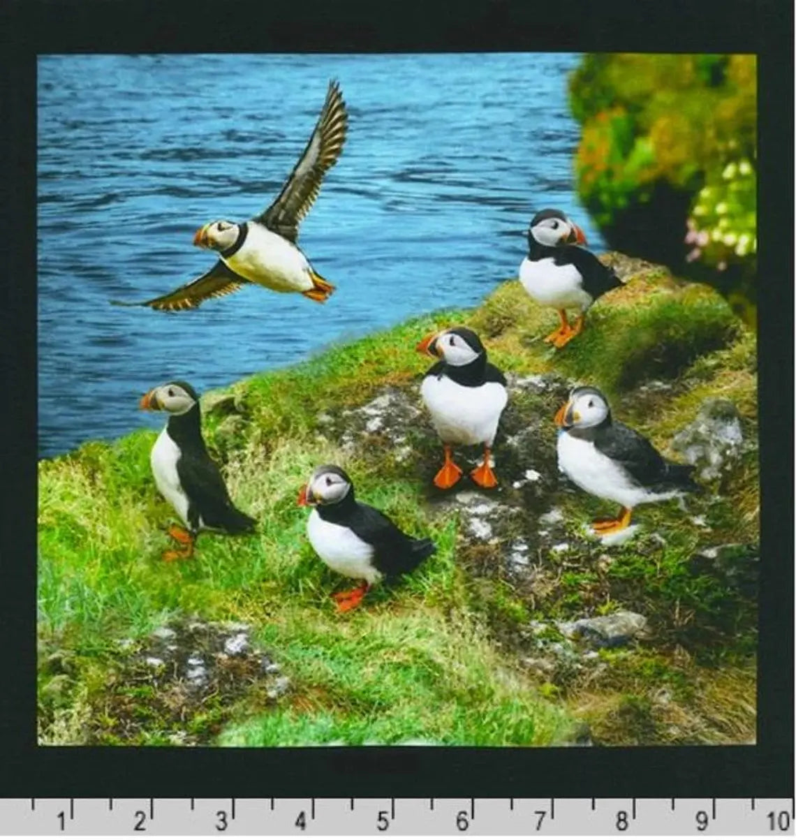 Animal Panel Nature Fabric Panel 43"x23", # SRKD20814268 Robert Kaufman, Alaskan Wildlife Orcas Dog Sled Puffins Float Plane Seal Whale