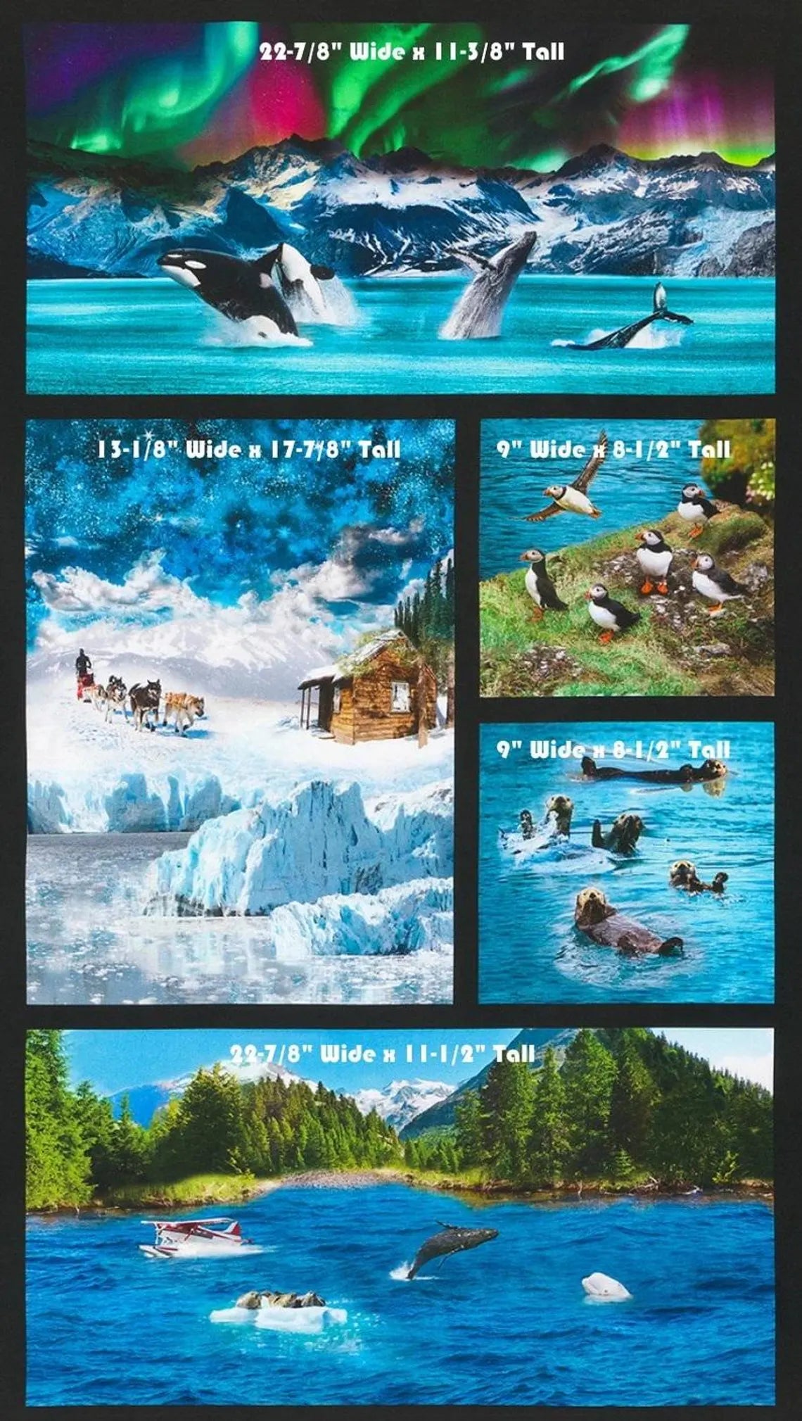 Animal Panel Nature Fabric Panel 43"x23", # SRKD20814268 Robert Kaufman, Alaskan Wildlife Orcas Dog Sled Puffins Float Plane Seal Whale