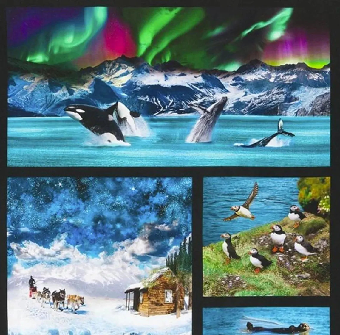 Animal Panel Nature Fabric Panel 43"x23", # SRKD20814268 Robert Kaufman, Alaskan Wildlife Orcas Dog Sled Puffins Float Plane Seal Whale