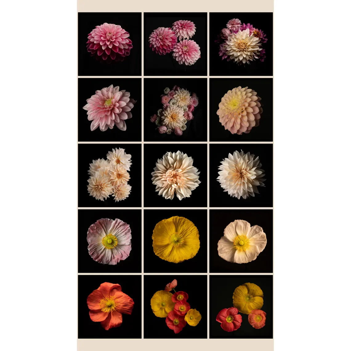 Quilt Kit 58x"x58", Shadow & Elegance by RJR, Floral Gift Bed Quilt Queen Quilt Wall Hanging