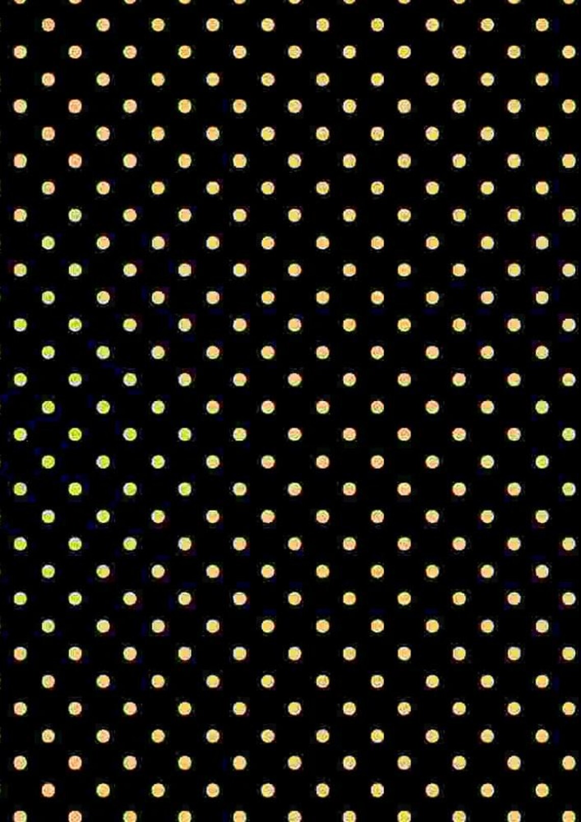 Quilt Kit 32"x51", Honey Bee Quilt Kit using Fabrics by Timeless Treasures, Home is Where My Honey Is Gift Bed Quilt Lap Queen Wall