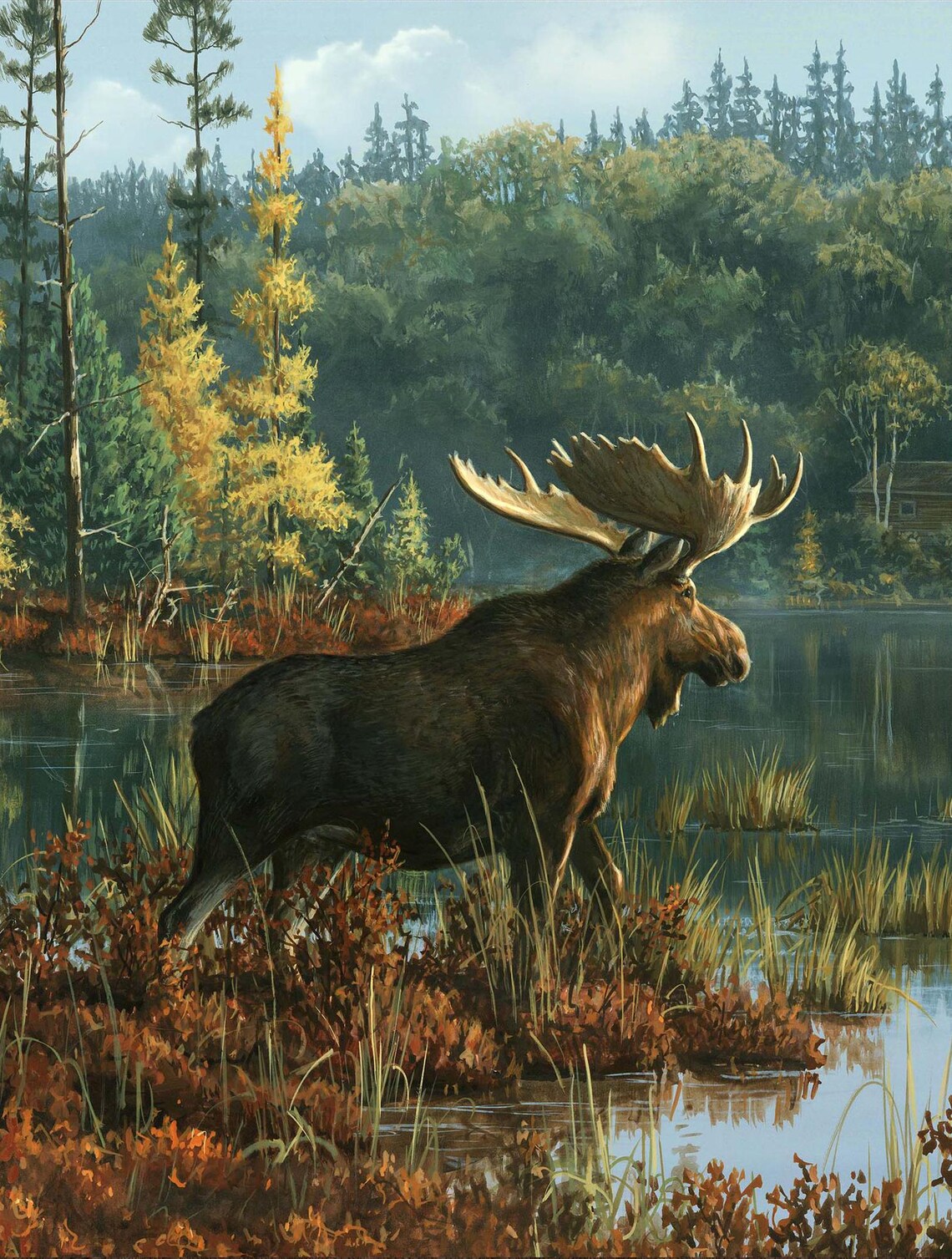 Moose Northwood Fabric Panel 36"x43", DP27540-78 Northwoods by Northcott 100% Cotton Quilting Fabric Moose Bed Quilt Wall Hanging