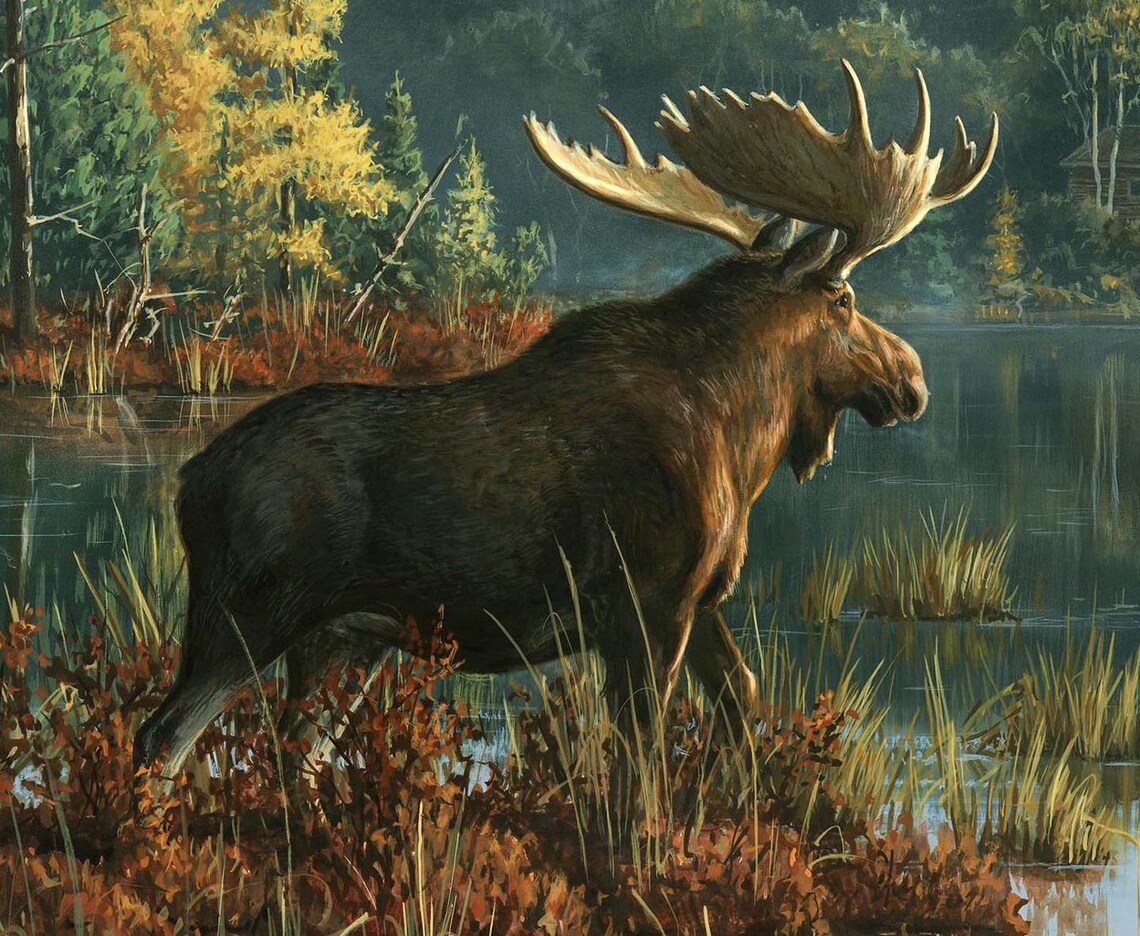 Moose Northwood Fabric Panel 36"x43", DP27540-78 Northwoods by Northcott 100% Cotton Quilting Fabric Moose Bed Quilt Wall Hanging