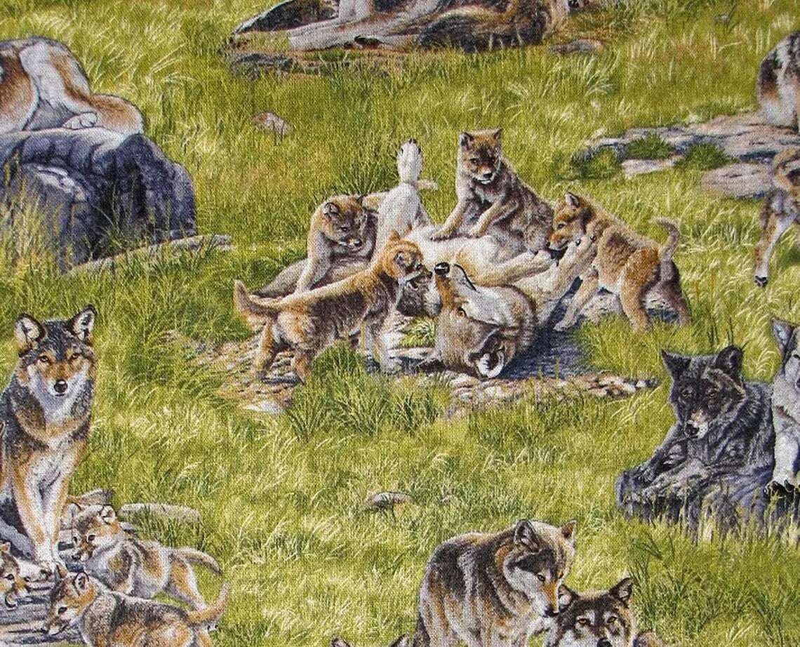 Wolves and Pups 1/2 yard, 5018GREEN by Elizabeth Studios, wolf scenic allover fabric, Wolf bed quilt toddler adult wall hanging
