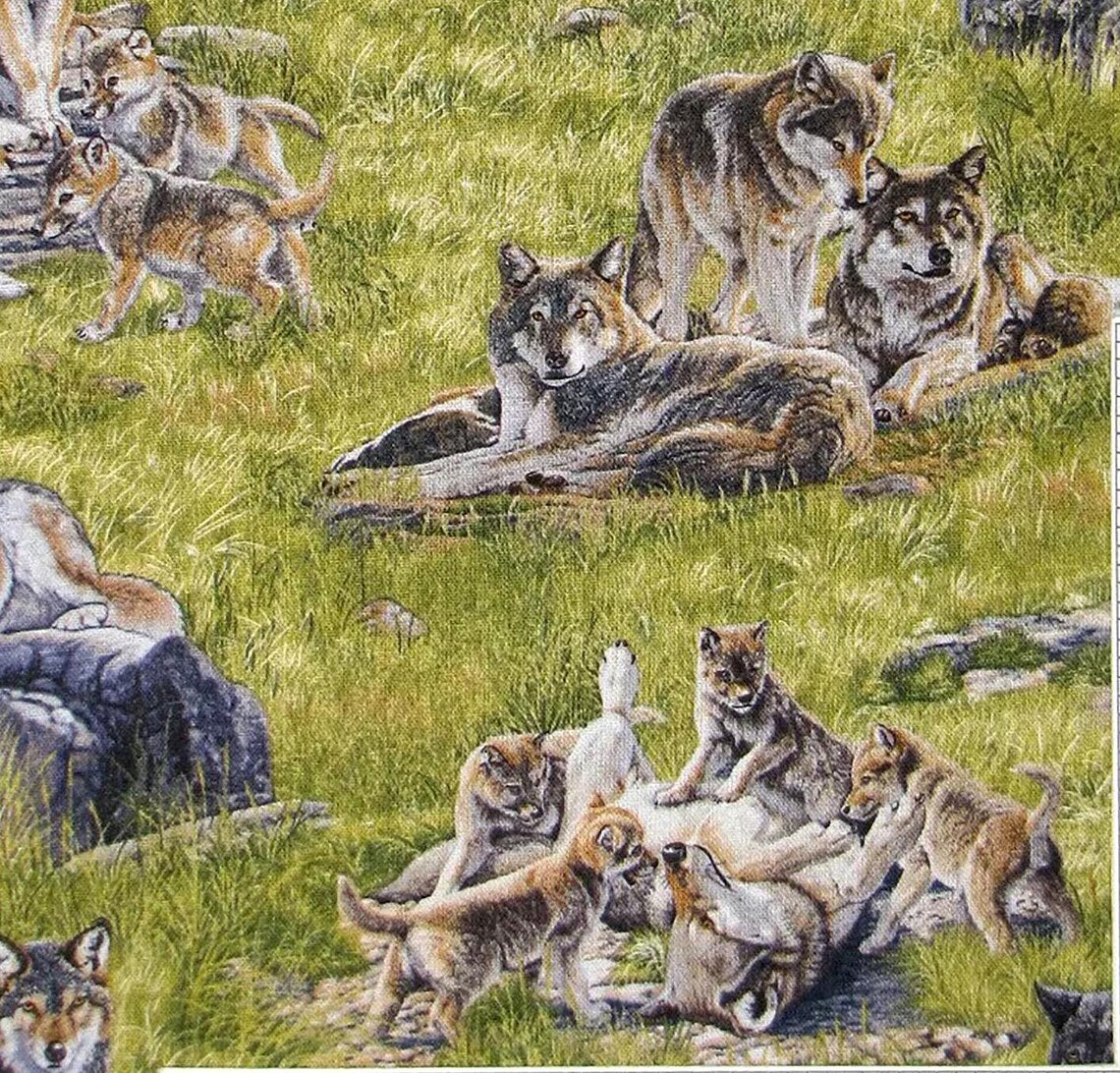 Wolves and Pups 1/2 yard, 5018GREEN by Elizabeth Studios, wolf scenic allover fabric, Wolf bed quilt toddler adult wall hanging