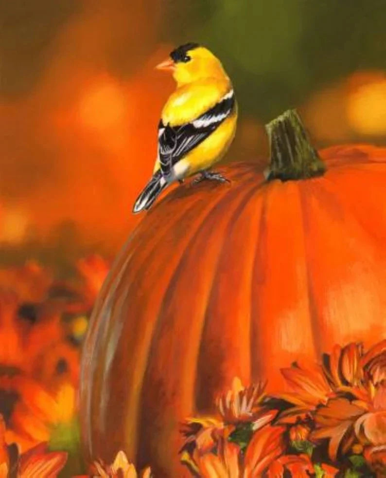 Goldfinch & Pumpkin Fabric Panel 35"x43", Digital Cotton Fabric by the Panel ML31930C1MHS Licensing - David Textiles