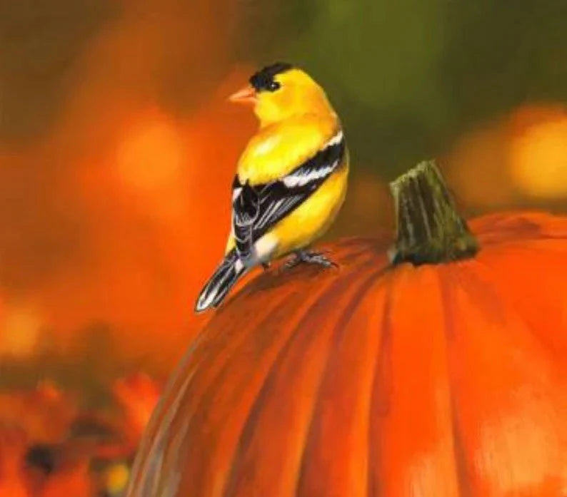 Goldfinch & Pumpkin Fabric Panel 35"x43", Digital Cotton Fabric by the Panel ML31930C1MHS Licensing - David Textiles