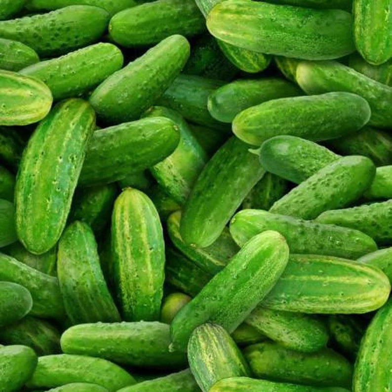 Cucumbers Fabric, Sold by the Half Yard, Elizabeth Studios, Food Fabrics