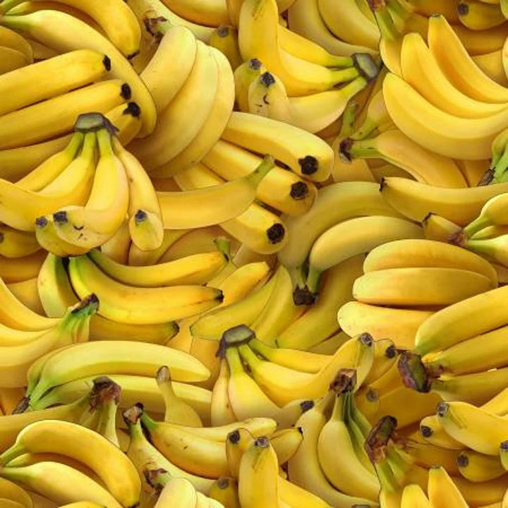 Bananas Fabric, Sold by the Half Yard, Elizabeth Studios, Food Fabrics