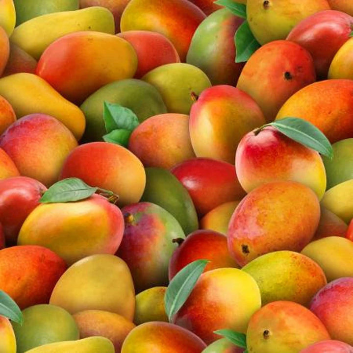 Mangos Fabric, Sold by the Half Yard, Elizabeth Studios, Food Fabrics