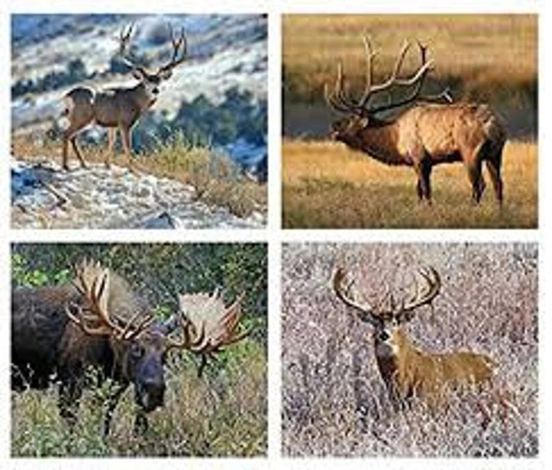 Wildlife Fabric Panel 43"x36", PD7379 King's Camo fabric collection by Riley Blake Designs, Deer Moose Elk, Outdoors Fabric Panel