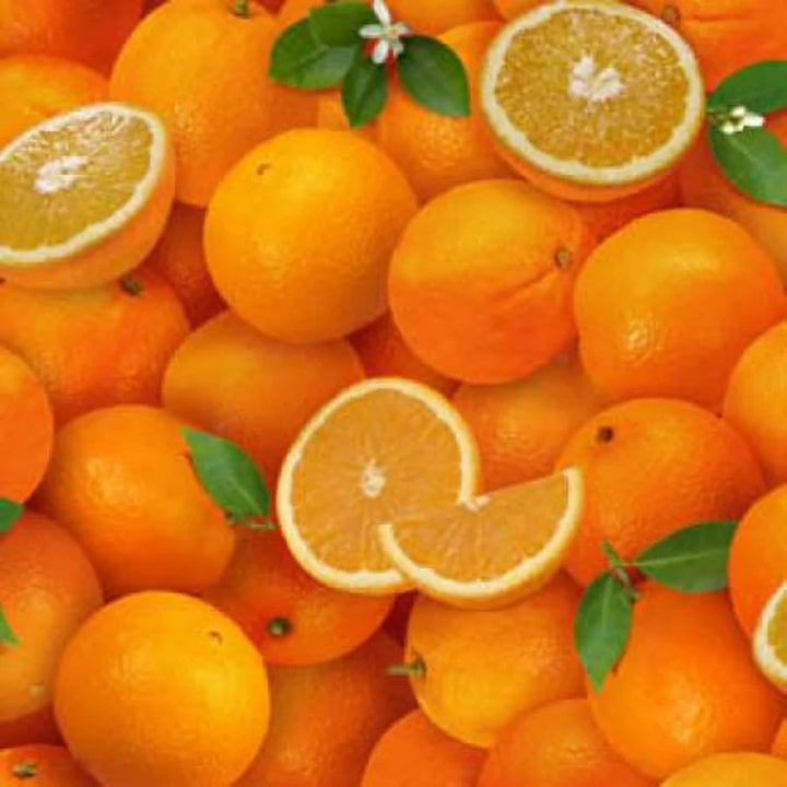 Oranges Fabric, Sold by the Half Yard, Elizabeth Studios, Food Fabrics