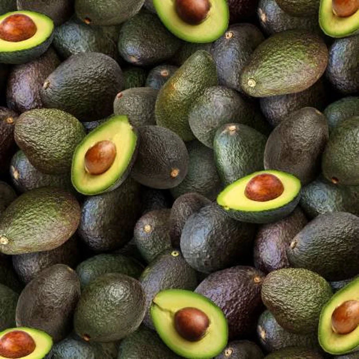 Avocadoes Fabric, Sold by the Half Yard, Elizabeth Studios, Food Fabrics