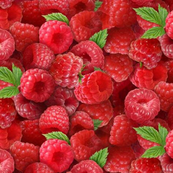 Raspberries Fabric, Sold by the Half Yard, Elizabeth Studios, Food Fabrics