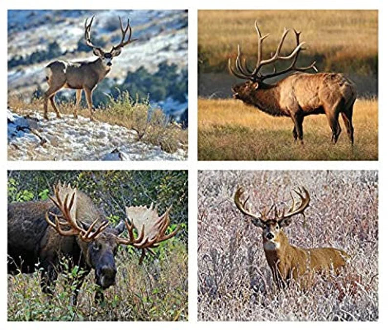 Wildlife Fabric Panel 43"x36", PD7379 King's Camo fabric collection by Riley Blake Designs, Deer Moose Elk, Outdoors Fabric Panel