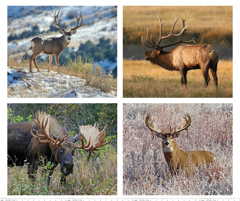 Wildlife Fabric Panel 43"x36", PD7379 King's Camo fabric collection by Riley Blake Designs, Deer Moose Elk, Outdoors Fabric Panel