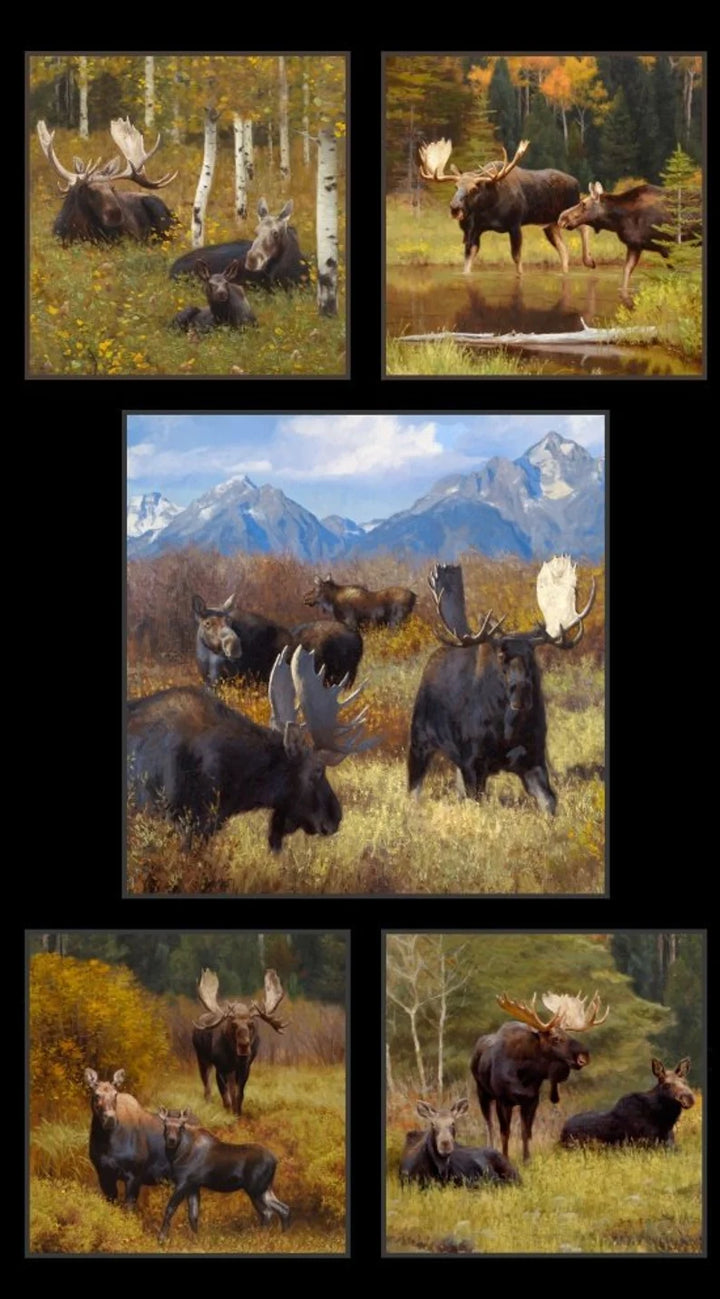 Moose Fabric Panel 24"x43", 8800Black North American Wildlife Fabric Panel by Elizabeth's Studio