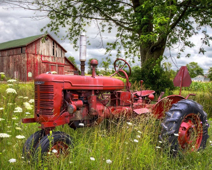 RARE Farmall H Tractor and Old Barn Panel 36"x44", by David Textiles, Farmyard Farmall H Tractor Old Barn Bed Gift Quilt Wall Hanging