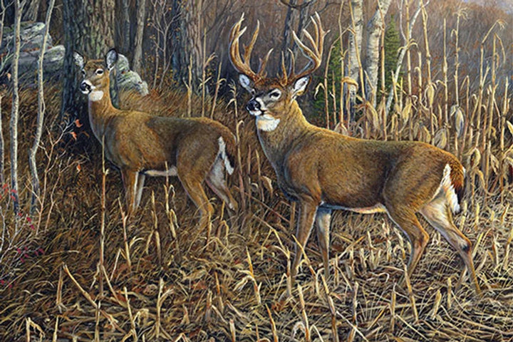 Deer Fabric Panel 44"x36", Heading for Cover DP21379 Northcott, Deer Quilt Wall Hanging