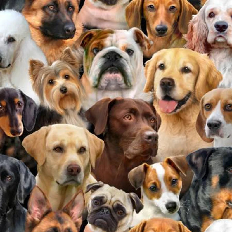 Dog Breeds Fabric Sold by the Half Yard, All Over Dogs by Elizabeth's Studio, # 1312-BLK