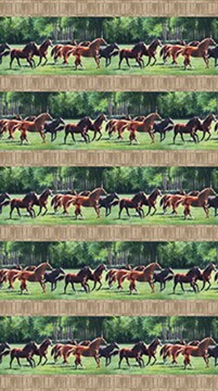 Horse Fabric Sold by the Half Yard, 2141 Pleasant Pastures fabric by Northcott, Horse Quilt Wall Hanging Runner