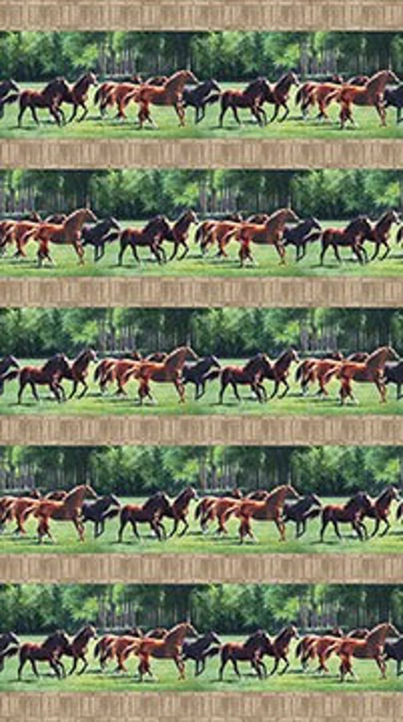 Horse Fabric Sold by the Half Yard, 2141 Pleasant Pastures fabric by Northcott, Horse Quilt Wall Hanging Runner