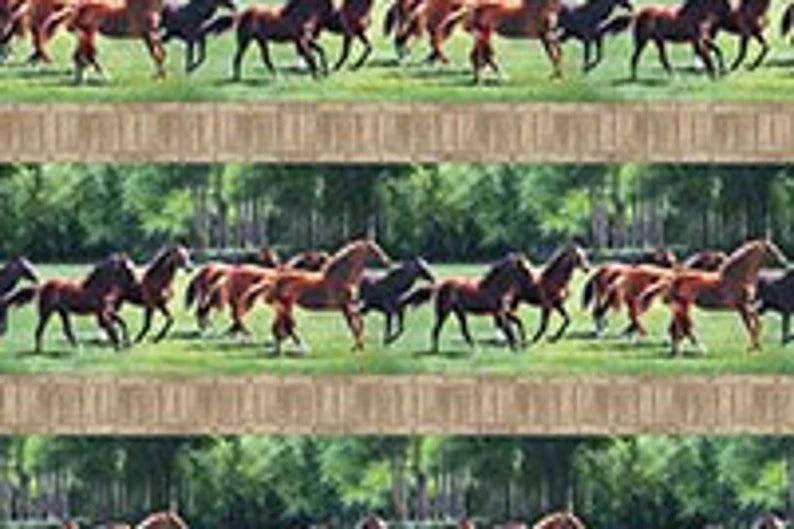 Horse Fabric Sold by the Half Yard, 2141 Pleasant Pastures fabric by Northcott, Horse Quilt Wall Hanging Runner