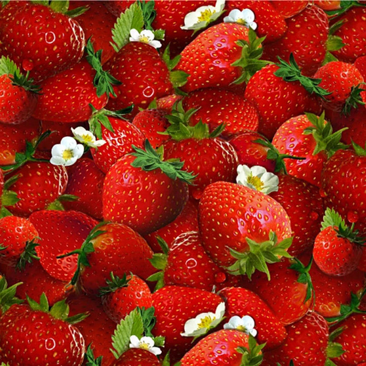 Strawberries Fabric, Sold by the Half Yard, 155E-RED Elizabeth Studios, Food Fabrics