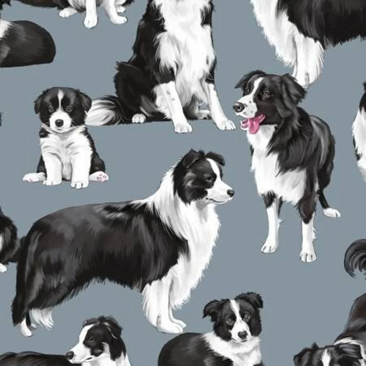 Border Collie Dog Fabric, C7365-BLU Timeless Treasures, Dog Gift Quilt Home Decor Pillowcase Table Runner, 1/2 Yard