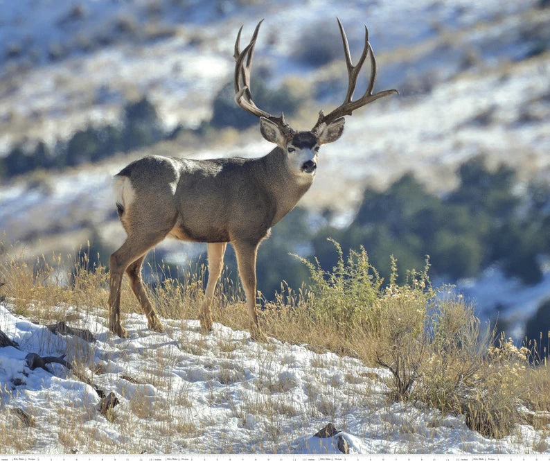 Mule Deer Fabric Panel 43"x36", PD7376 King's Camo by Riley Black Designs, Deer Gift Bed Quilt Queen Wall Hanging Hunter