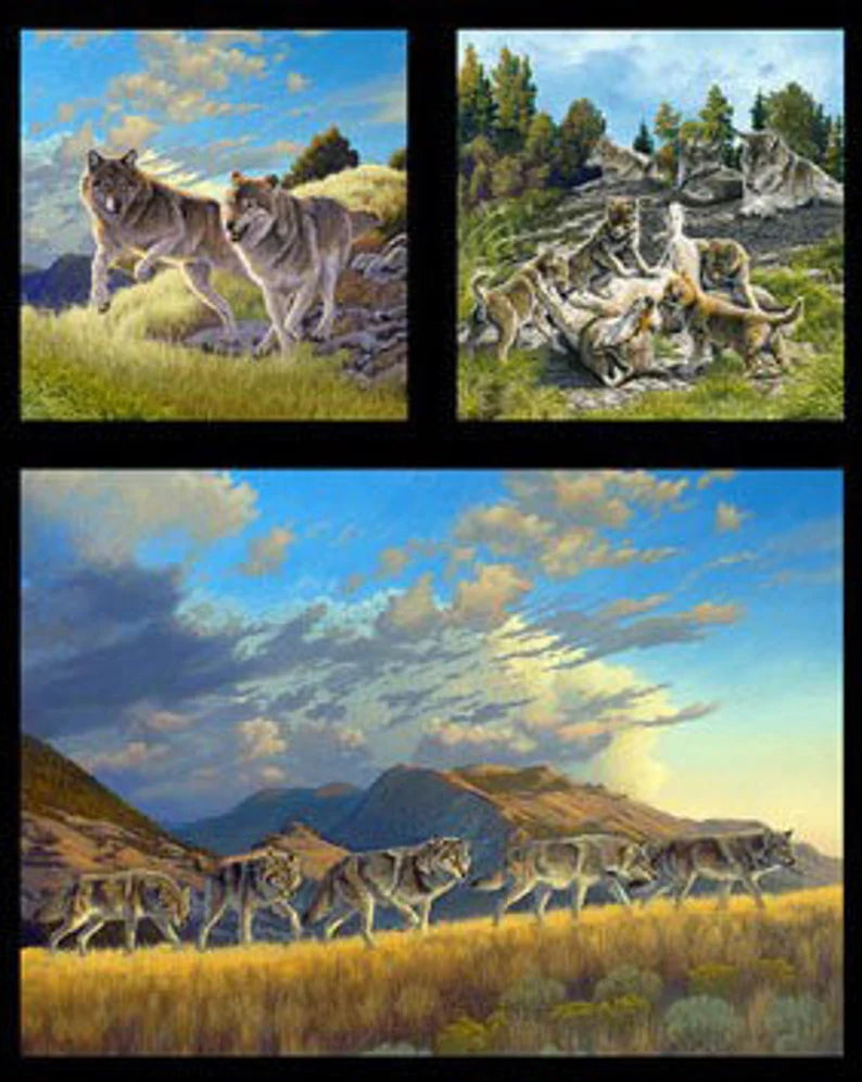 Wolves Fabric Panel 24"x43", 5017Black by Elizabeth's Studio, Wolf Pups Playing, Wolves Running